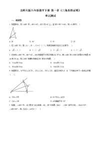 初中数学北师大版八年级下册第一章 三角形的证明综合与测试精品单元测试精练