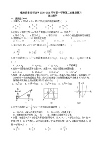 江苏省苏州市张家港市梁丰初中2020-2021年初三数学12月课堂检测（含答案）