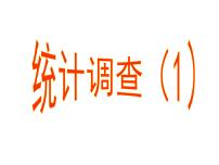 初中数学10.1 统计调查背景图ppt课件