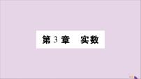 初中数学湘教版八年级上册3.1 平方根习题ppt课件