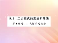 湘教版八年级上册第5章 二次根式5.2 二次根式的乘法和除法习题ppt课件