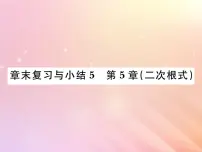 湘教版八年级上册第5章 二次根式综合与测试复习课件ppt