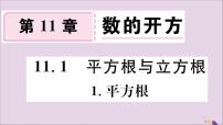 初中数学1 平方根习题ppt课件