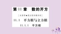 初中数学华师大版八年级上册第11章 数的开方11.1  平方根与立方根1 平方根作业ppt课件