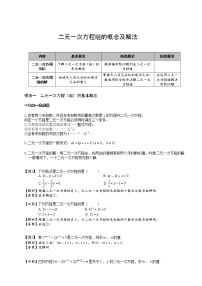 【精品讲义】人教版 七年级下册寒假同步课程（培优版）6二元一次方程组的概念及解法．教师版