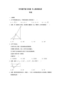 中考数学复习专题 三角形综合 高频考点专项含答案