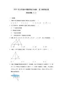 2021年九年级中考数学复习专题:【三角形综合】培优训练(二)