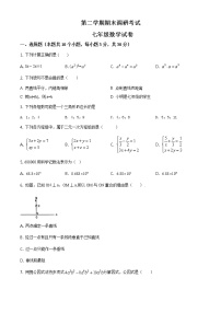 七年级下学期期末数学试题（原卷+解析）