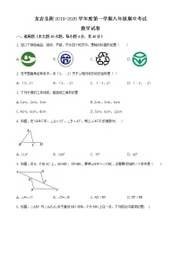 精品解析：八年级上学期期中数学试题（原卷版）