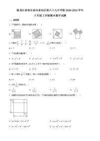 精品解析：黑龙江省哈尔滨市香坊区第六十九中学校2020-2021学年八年级上学期期末数学试题（原卷版）