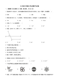 北师大版七年级下册数学期末试题2含解析答案