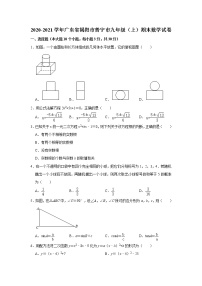 2020-2021学年广东省揭阳市普宁市九年级（上）期末数学试卷   解析版