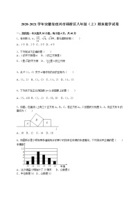 2020-2021学年安徽省宿州市埇桥区八年级（上）期末数学试卷（解析版）