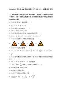 2020-2021学年湖北省恩施州利川市八年级（上）期末数学试卷（解析版）