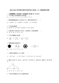 2020-2021学年四川省泸州市泸县八年级（上）期末数学试卷（解析版）