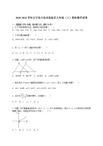 2020-2021学年辽宁省大连市高新区八年级（上）期末数学试卷（解析版）