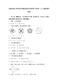 河北省秦皇岛市台营学区2020-2021学年八年级（上）期末数学试卷（解析版） - 副本