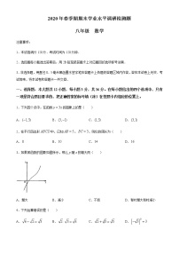 2019-2020学年广西玉林市玉州区八年级下学期期末学业水平调研检测数学试题