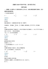 2020年甘肃省武威市中考数学试卷