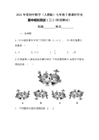 2021年春初中数学（人教版）七年级下册课时作业：期中模拟测试（二）