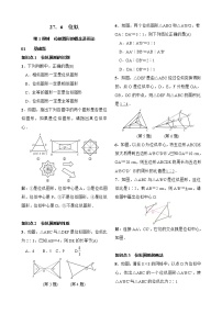 初中数学27.3 位似第1课时达标测试