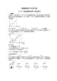 初中4.5 一次函数的应用课时练习