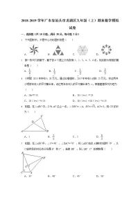2018-2019学年广东省汕头市龙湖区九年级上期末数学模拟试卷（含答案）