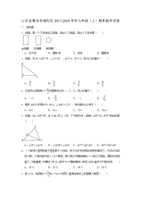 2018-2019学年山东省青岛市城阳区九年级上期末数学试卷（含答案解析）