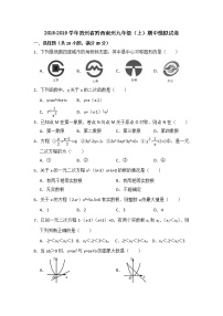 2018-2019学年贵州省黔西南州九年级（上）期中数学模拟试卷