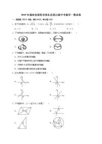 2019年湖南省邵阳市邵东县团山镇中考数学一模试卷（含答案解析）