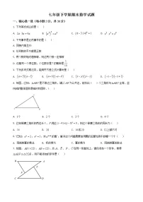 精品解析:北师大版七年级下学期期末数学试题含解析