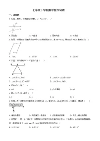 精品解析:北师大版七年级下学期期中数学试题(含解析)