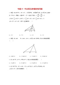 中考数学几何模型加强版 模型01 中点相关的辅助线问题