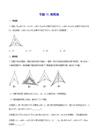 中考数学几何模型加强版 模型15 燕尾角