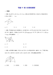 中考数学几何模型加强版 模型19 双X形相似模型