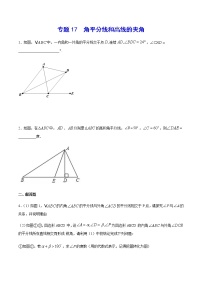 中考数学几何模型加强版 模型17 角平分线和高线的夹角