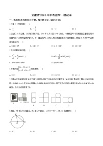 安徽省2021届九年级中考一模数学试题（原卷版）