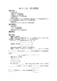 初中青岛版10.3 三元一次方程组教案
