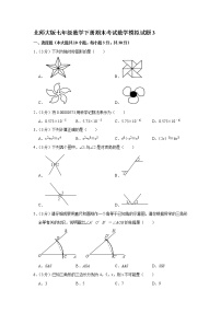 北师大版七年级数学下册期末考试数学模拟试题3（含答案）　