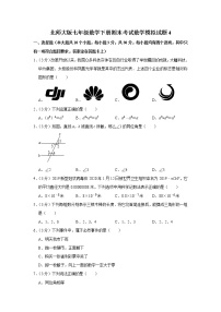 北师大版七年级数学下册期末考试数学模拟试题4（含答案）　