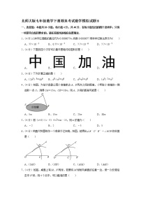 北师大版七年级数学下册期末考试数学模拟试题8（含答案）