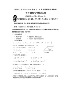 山东省青岛第五十一中学2019-2020学年七年级下学期期中阶段性质量检测数学模拟试题