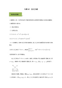 试卷 中考数学知识点+经典例题+真题训练 专题05  因式分解含答案