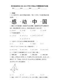 河北省沧州市2020-2021学年八年级上学期期末数学试题（word版 含答案）