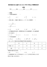 陕西省铜川市王益区2020-2021学年八年级上学期期末数学试题（word版 含答案）