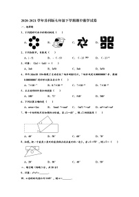 苏科版2020-2021学年七年级下学期期中数学试卷 （解析版）12