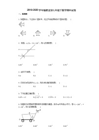 试卷 2019-2020学年福建龙岩七年级下数学期中试卷（附详细解析）