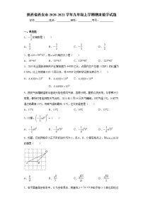 试卷 陕西省西安市2020-2021学年九年级上学期期末数学试题（word版 含答案）