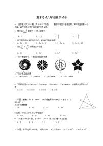 华师大版八年级数学（上） 期末检测试题含解析 (2)