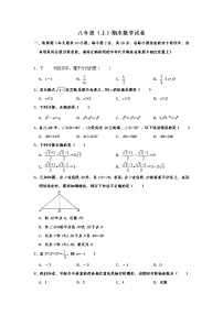 华师大版八年级数学（上） 期末检测试题含解析 (3)